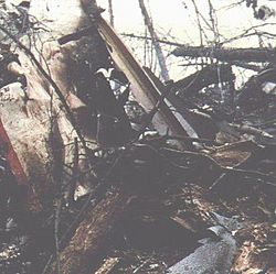 Archivo:Japan Airlines Flight 123 wreckage
