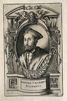 Juan Valverde de Hamusco. Line engraving by N. Beatrizet, 15 Wellcome V0005974.jpg