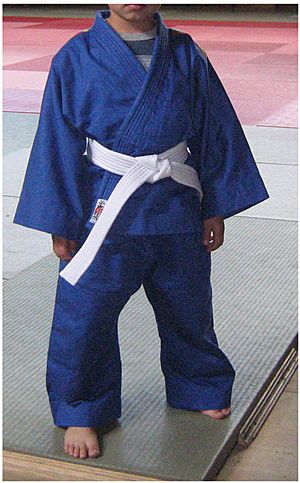Archivo:Judogi Azul
