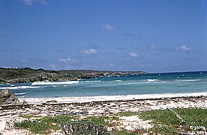 Archivo:Little Swan Island