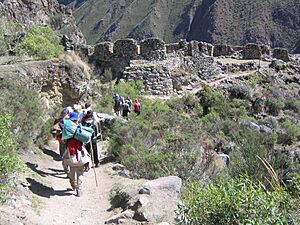 Archivo:Llactapata Cusco