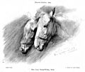 Lucy Kemp-Welch - Study in lead pencil