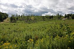 Mariaville (6042358367).jpg