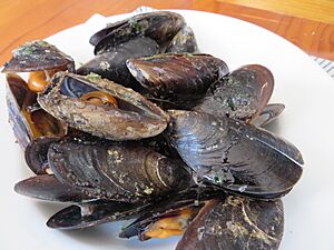 Archivo:Musclos, mejillones