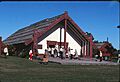 Palm Beach Qld Surf Life Saving Club - Waitangi - New Zealand IRB Championships Tour May 1984 - Photo John McPherson 08