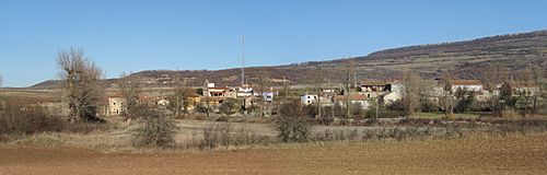 Archivo:Panoramica de Puentetoma