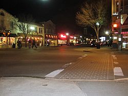 Patchogue, Main Street, 1-22-10.jpg