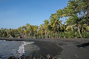 Archivo:Punaluu Black Sand Beach, Hawaii, USA8