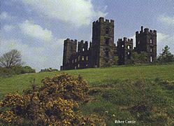 Riber Castle - geograph.org.uk - 92702