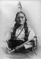 Sitting Bull 1881