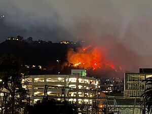 Archivo:Sunset fire Los Angeles veiw 3