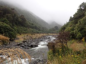 Taramakau River Near Harper Pass West Coast New Zealand.jpg