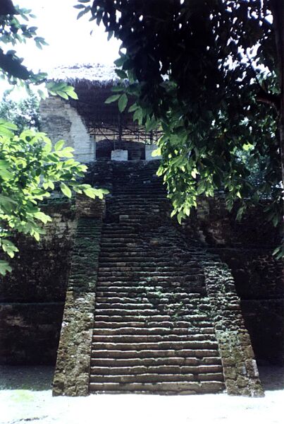 Topoxté 3