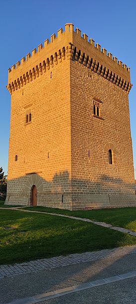 Torre-fortaleza de Olcoz 02.jpg
