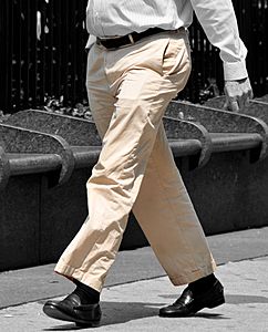 Archivo:Trousers-colourisolated