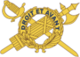 USA - Inspector General Branch Insignia.png