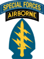 US Army Special Forces Insignia incl SP tab