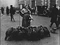 Venta de pavos para nochebuena en Madrid 1925