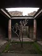 Villa-of-the-mysteries-atrium-tetrastyle