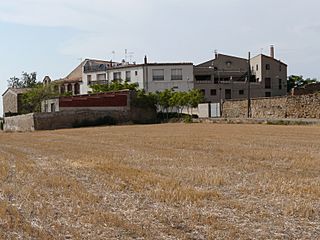 Vista de ratera.jpg