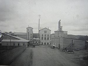 Archivo:Vista trasera Cerveceria Aubel 1920