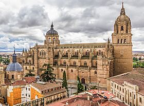 WLM14ES - Catedral Nueva de Salamanca. - julianrdc edited.jpg