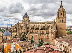 Archivo:WLM14ES - Catedral Nueva de Salamanca. - julianrdc edited