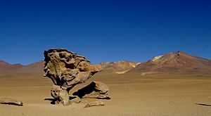 Archivo:Árbol de Piedra - Bolivia