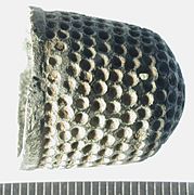246 Thimble side (FindID 101352)