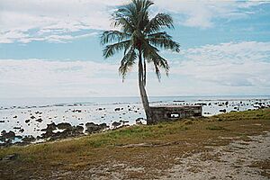Archivo:Abandoned Japanese Pillbox, Nauru (1998)