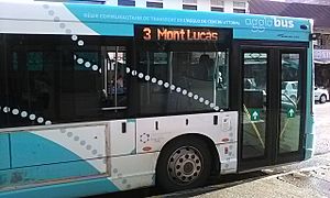 Archivo:Agglo'bus cayenne n°3 de la RCT