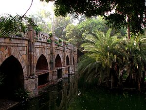 Archivo:Athpula