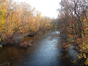Archivo:Autumn Passaic River Chatham NJ