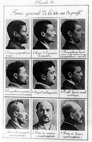 Archivo:Bertillon - Criminal profiles