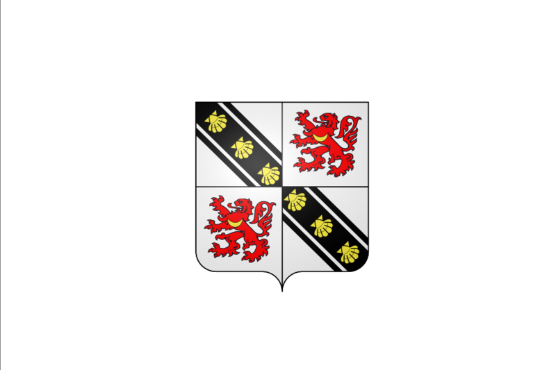 Beyne-Heusay vlag