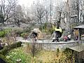 CP Childrens Zoo from 65 St Transverse early spring jeh