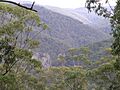 Callaghans Canyon