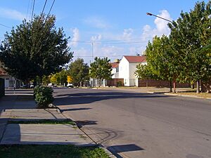 Archivo:Calle de Gral. Pico