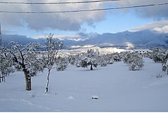 Archivo:Campo Almontras nevado