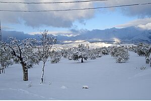 Archivo:Campo Almontras nevado