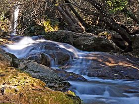 Cascadas del Hueznar - WLE Spain 2015.jpg