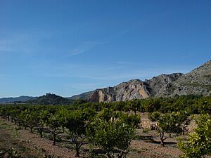Archivo:Castellón de la Plana, Castellón, Spain - panoramio (9)