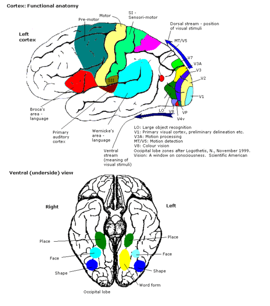 Constudproc