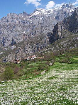 Cordiñanes al pie del Macizo Central de los Picos de Europa.