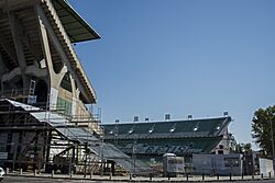 Archivo:Estadio Benito Villamarin 2016002