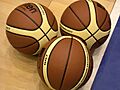 FIBA Basketballs 2004-2005
