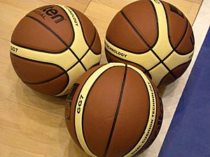 Archivo:FIBA Basketballs 2004-2005