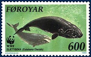 Archivo:Faroe stamp 199 Eubalaena glacialis