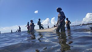 Archivo:Fish Harvest
