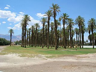 Furnace Creek 2.jpg